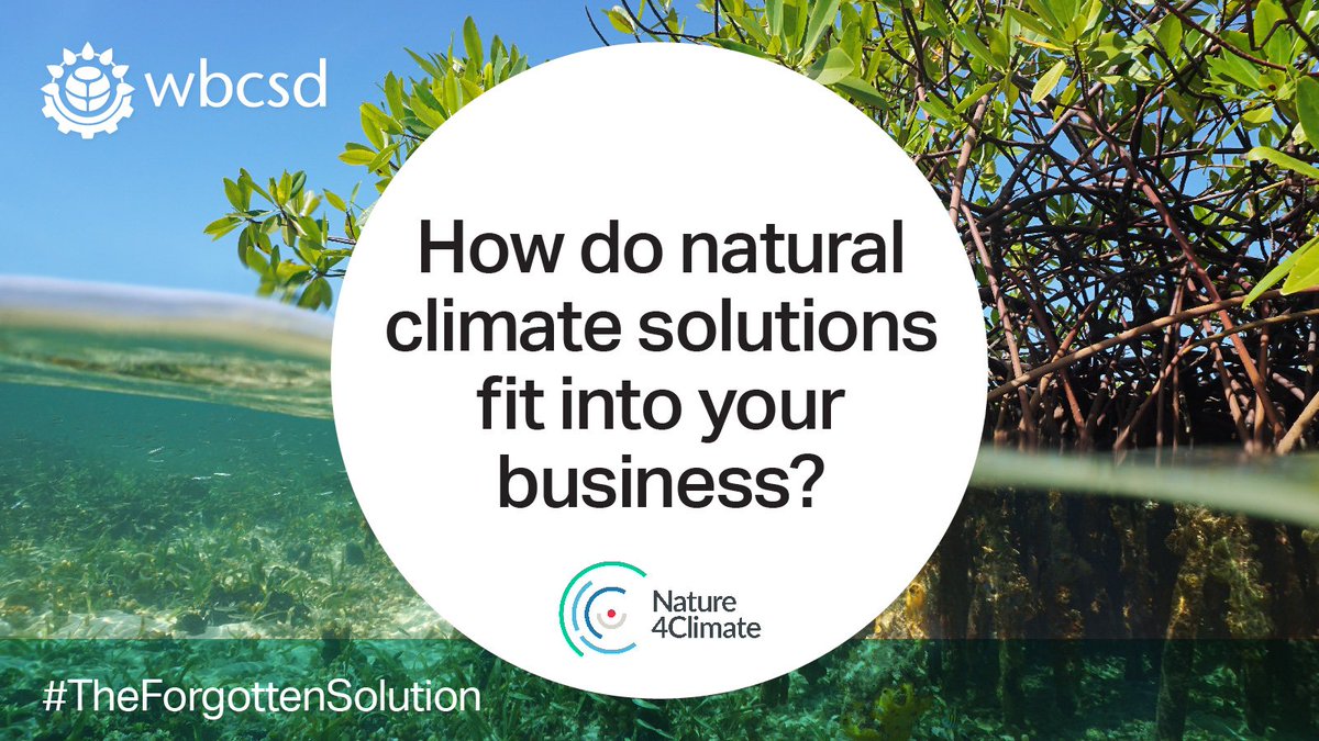 Nature4Climate's tweet photo. How do #NaturalClimateSolutions fit into your business strategy? Where do you want to go further? #TheForgottenSolution https://t.co/dnLQc6TVFz
