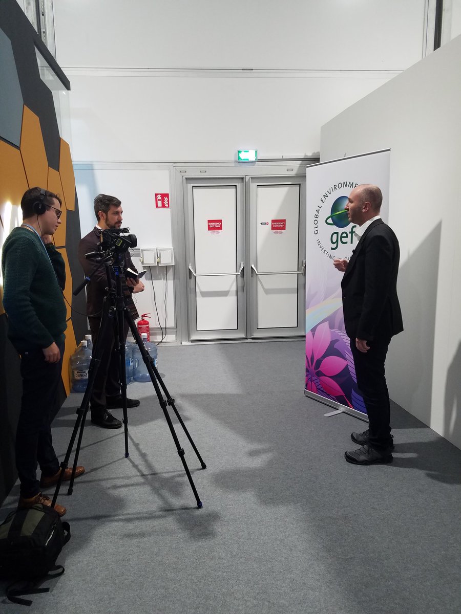 Angelica Shamerina tweet media