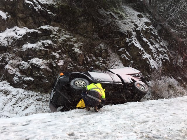 The Nelson Daily tweet media