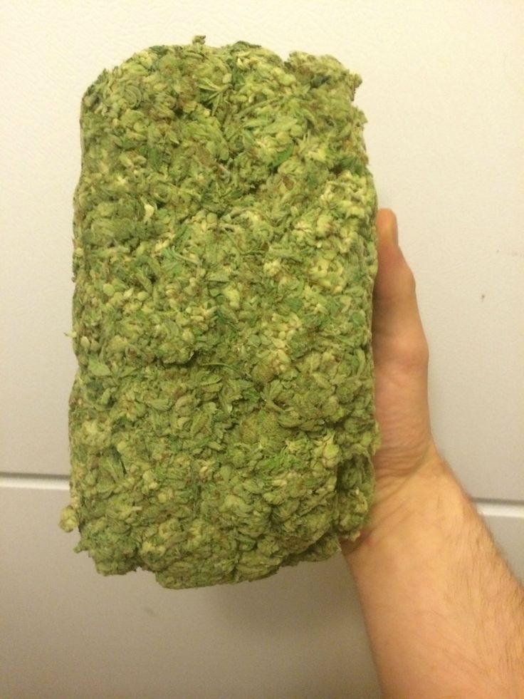 What would you do if half pound of weed fell onto your house? 