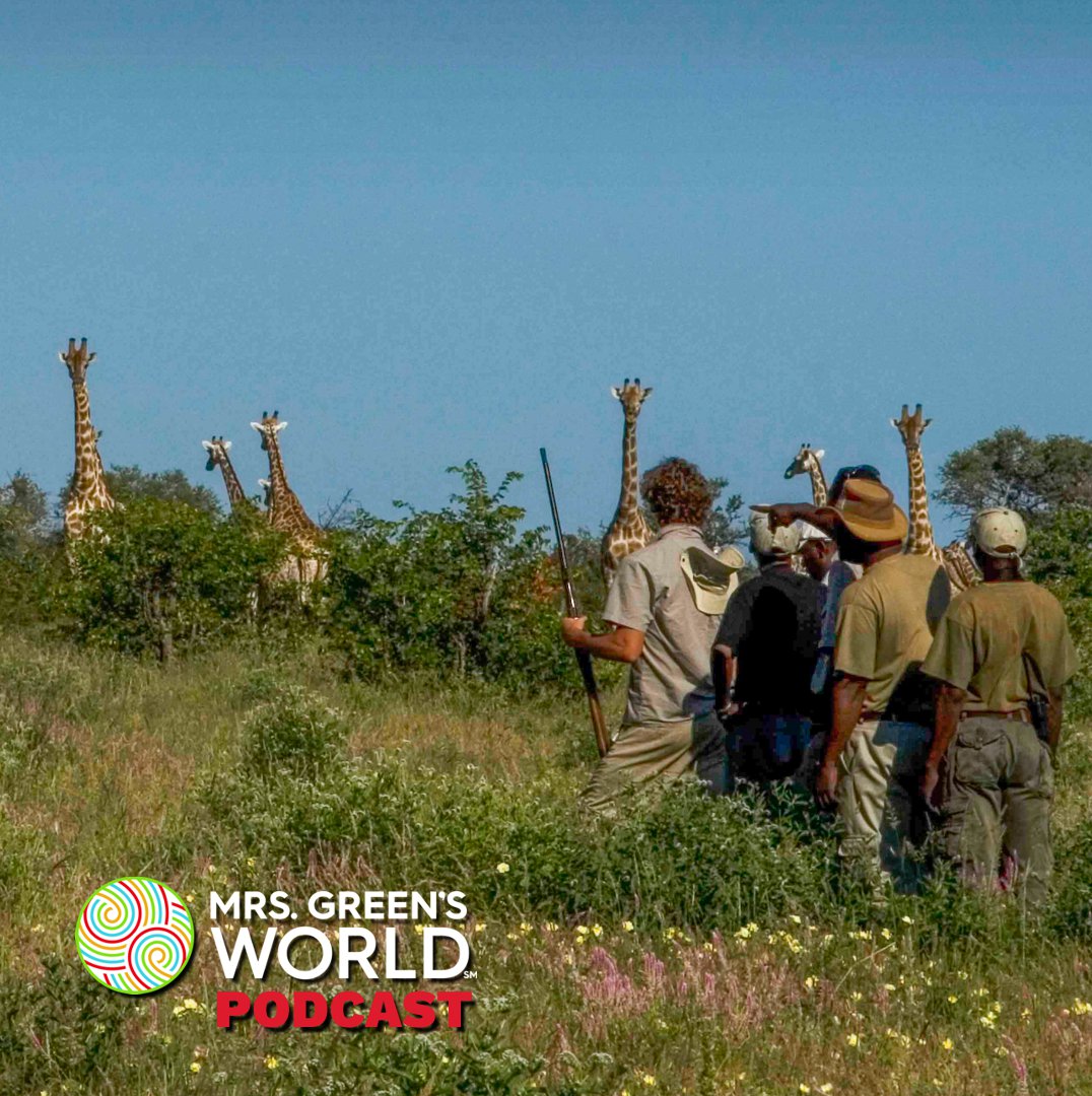 mrsgreensworld photo