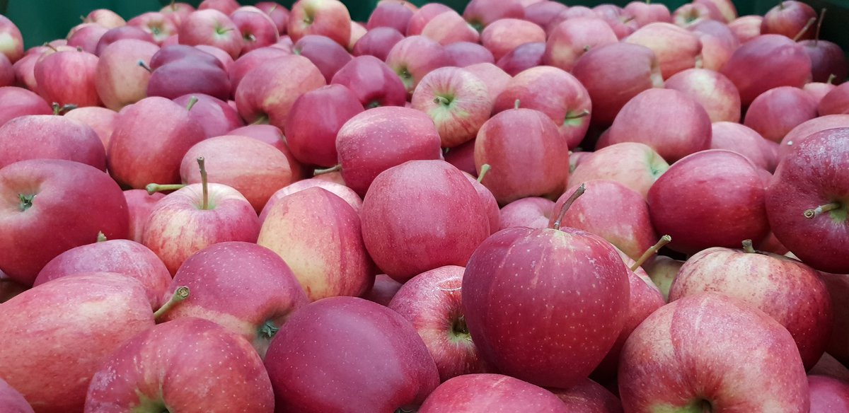 BessoneMassimo's tweet photo. Oggi, come "padrone di casa" ho avuto l'onore di accompagnare il nostro ministro dell'agricoltura e del turismo @giamma71 a #Bressanone in due delle tante eccellenze altoatesine #Brimi e #Melix. https://t.co/FxCwL5wIYb