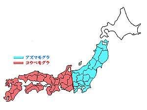 Sato Appleton モグラの分布図糸魚川静岡構造線と大体一緒 壁になってるの Sato Appleton モグラの分布図糸魚川静岡構造線と大体一緒 壁になってるの