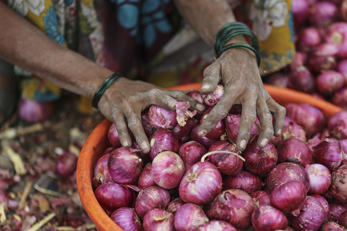 opinion's tweet photo. One commodity has a long and layered relationship with Indian politics, having played a role in shaping election results since 1980.

Onions. https://t.co/n4DVm3NWpC https://t.co/IgBh1pJ6XE