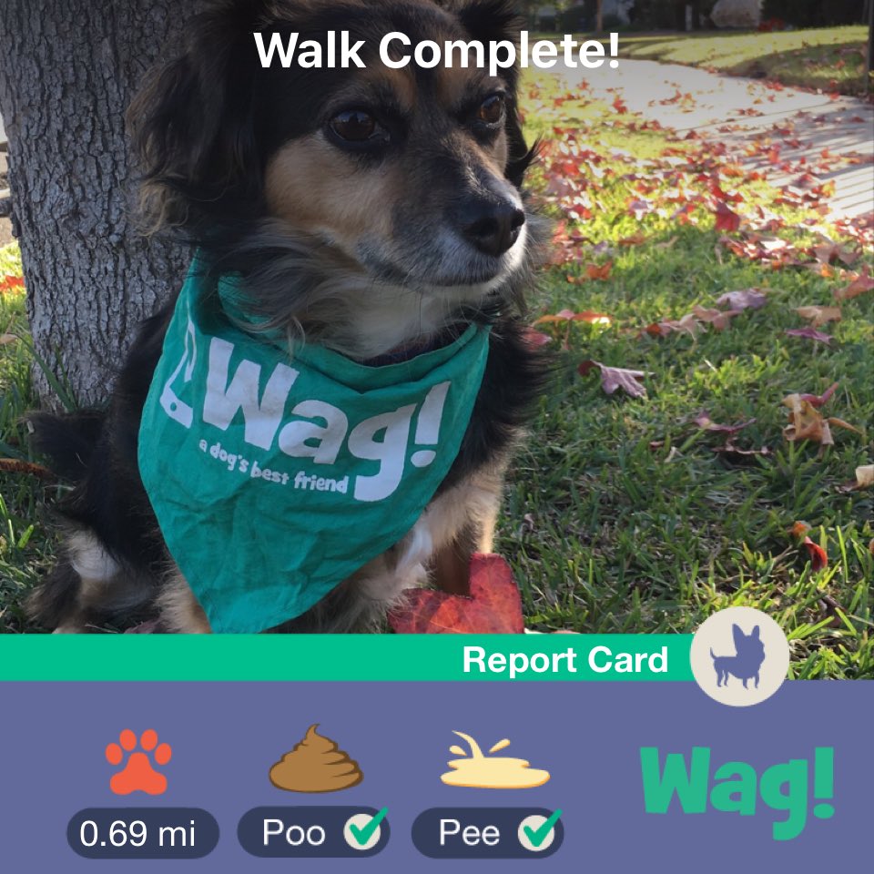 VastData's tweet image. Just finished a dog walk on Wag! Use my link wagwalking.app.link/I0EQpUSsKQ for $50 of FREE Wag credit!