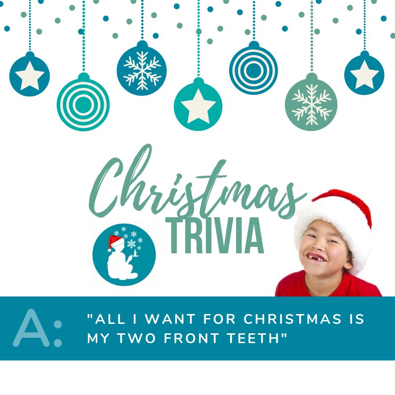 AdoptNightlight's tweet image. Did you guess correctly? #alliwantforchristmas #twofrontteeth