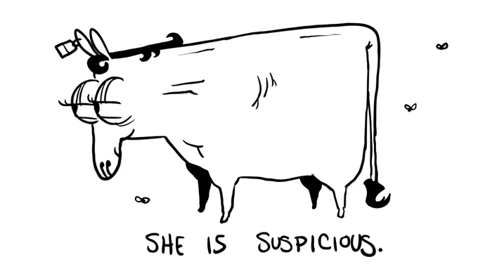 she is suspicious. 