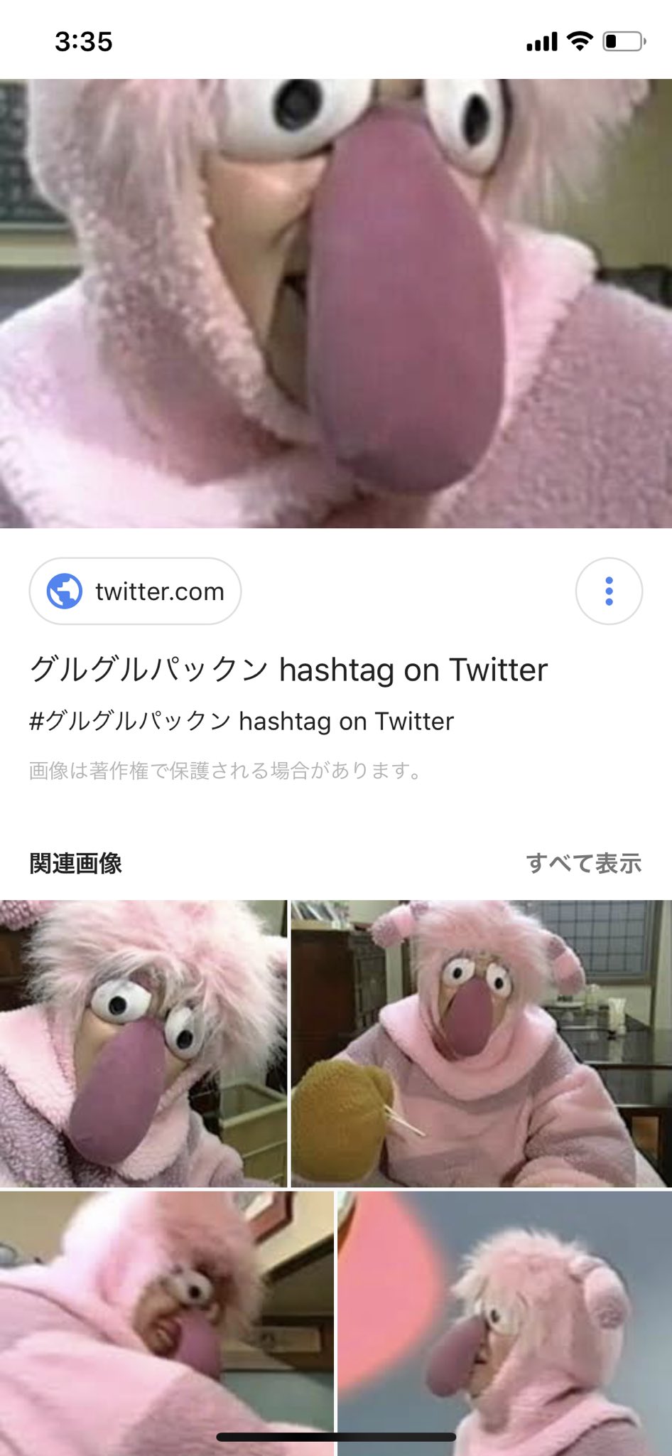 活動歴および当時の関連ビジュアル記録