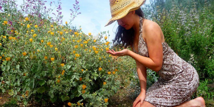 NorthBootcamp's tweet image. Rejuvenate your resolutions - how giving to charity can help your mental well-being, why not set yourself a physical challenge for charity!

#BootcampUK #WellnessBootcampUK #PaddleofBritain

thisisinsider.com/how-giving-bac…