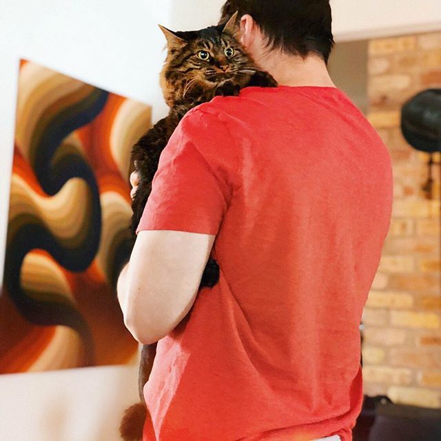 meripip's tweet photo. Make it a December to remember ❄️ ⛄️ 😻 #finishwhatyoustarted #holdmeclose #tinydancer #catdad #transformationtuesday #tuesday #tuesdaymotivation #tiptuesday #tuesdaythoughts #red #brick #hugs #70sstyle #vintage #vintagevibes #catlife #cat #catsofinst… https://t.co/aUbuYkUpaJ https://t.co/8i5zvBuRX5