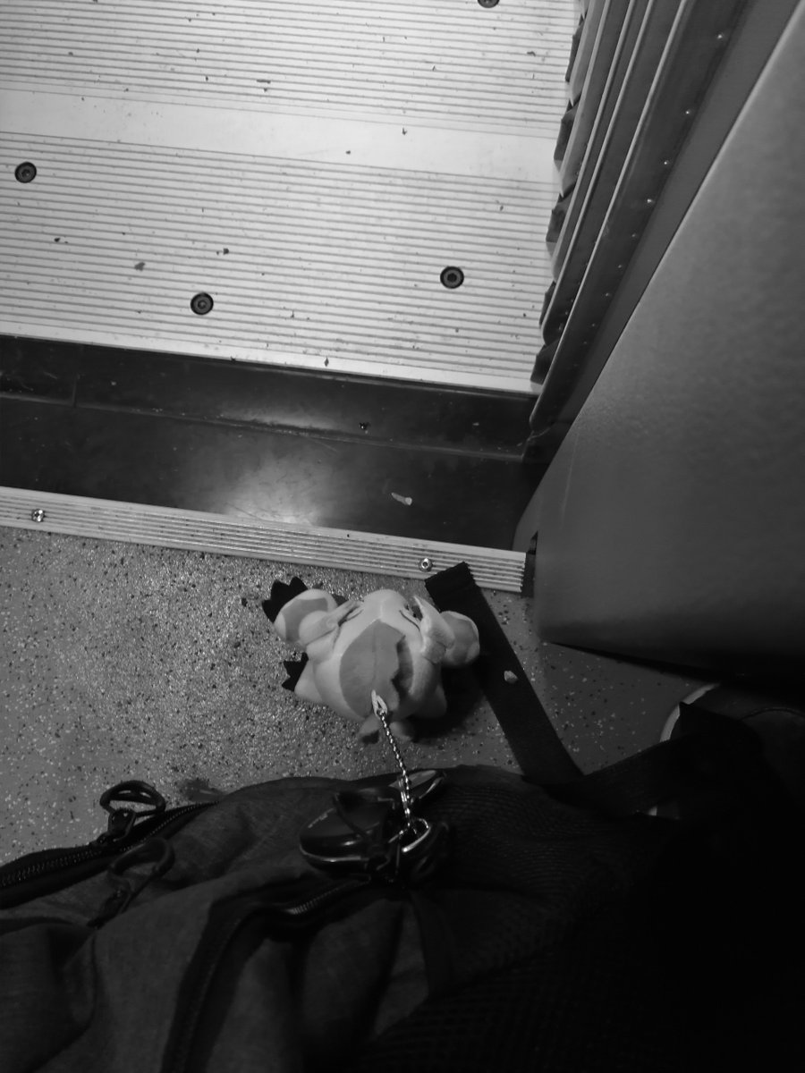 MrChrodo's tweet image. Ein sehr schöner Busboden.
#BusBus