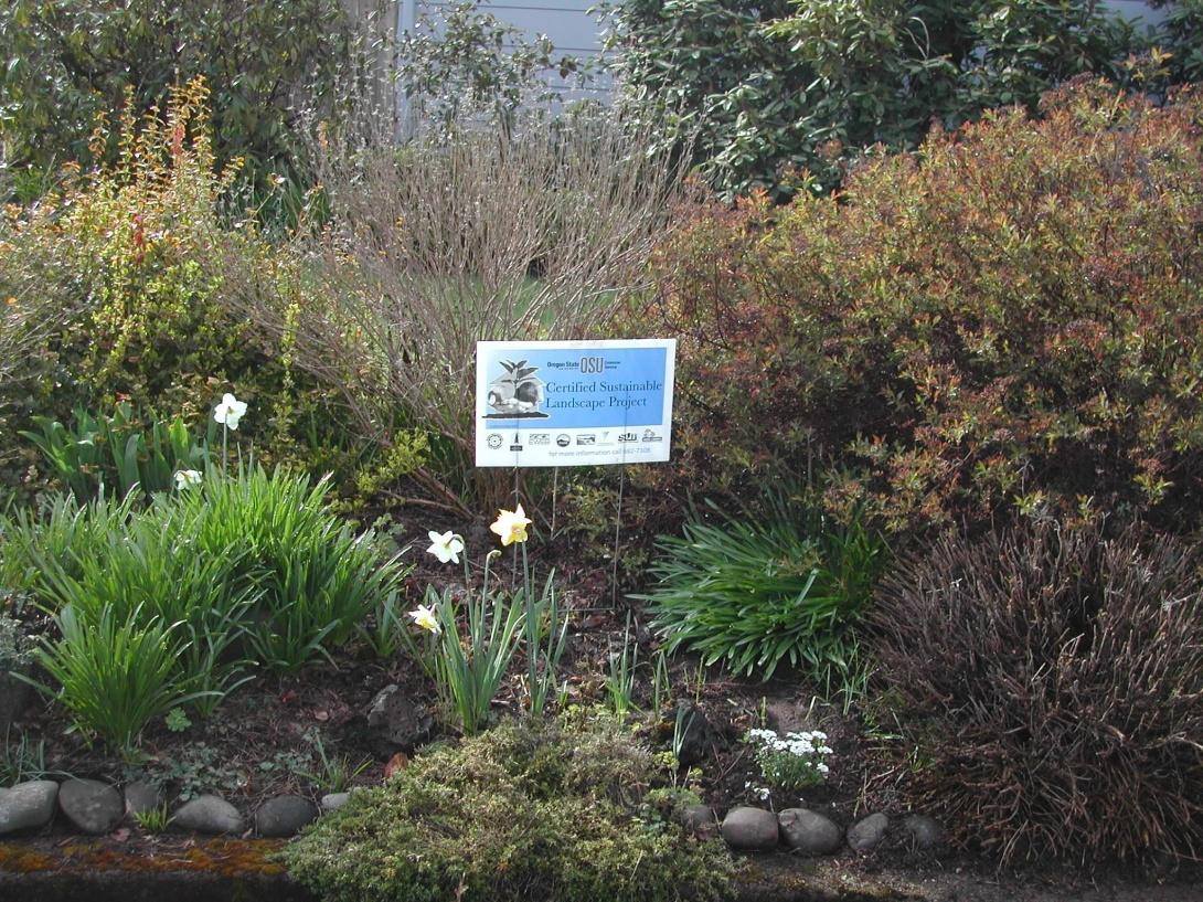 RexiusLandscape's tweet image. Pick up practical tips for using resources more efficiently within your yard &amp;amp; garden — attend a Sustainable Landscape Seminar with @OregonState Extension Lane County this Tues. &amp;amp; Wed. (12/11 - 12/12). bit.ly/sustainablelan… #sustainablelandscaping #eugene