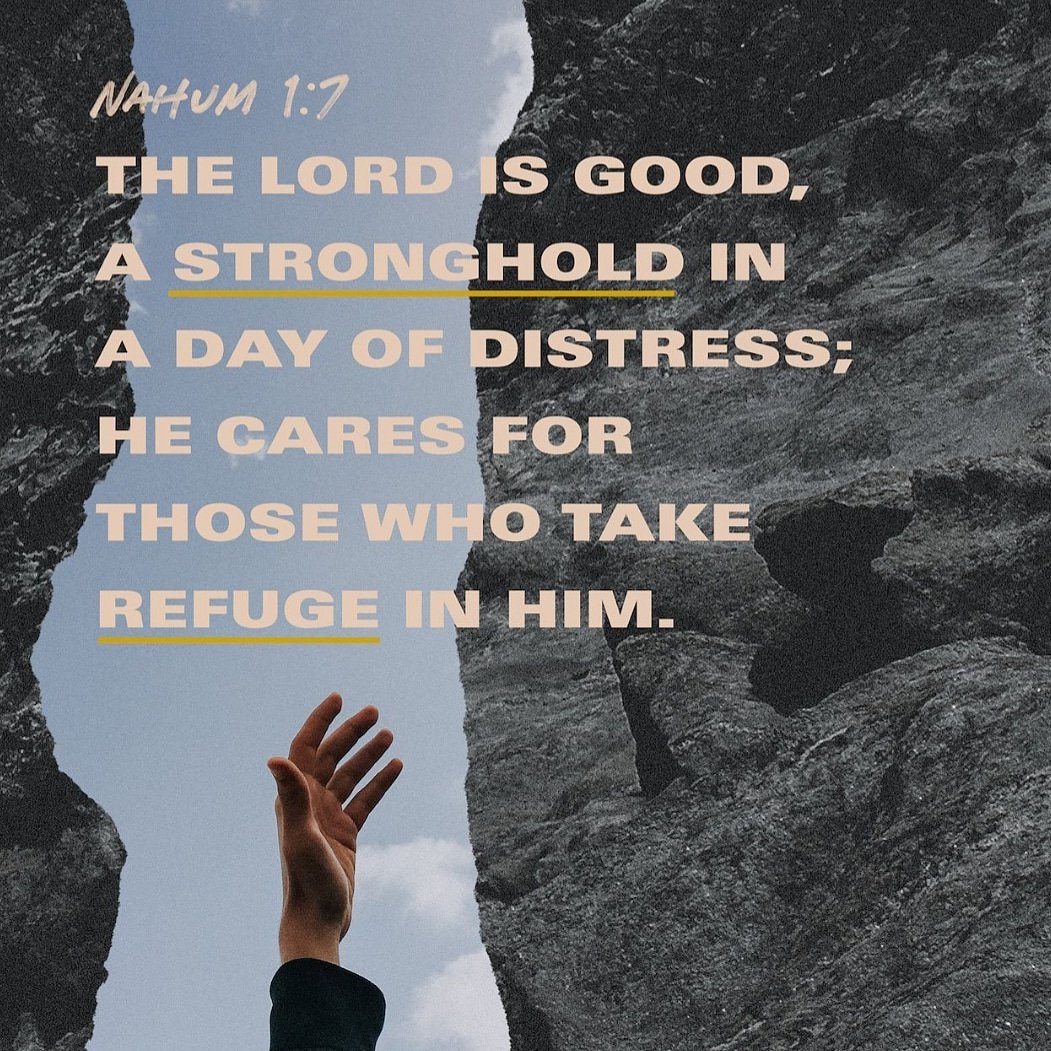 WVUMC_Men's tweet photo. Good afternoon
Daily dose of scripture: Nahum 1:7 NKJV
The Lord is good, A stronghold in the day of trouble; And He knows those who trust in Him.
#wvcf #kingdombuilders #KAMM #men #dailyverse https://t.co/ASd7NEv4Mi