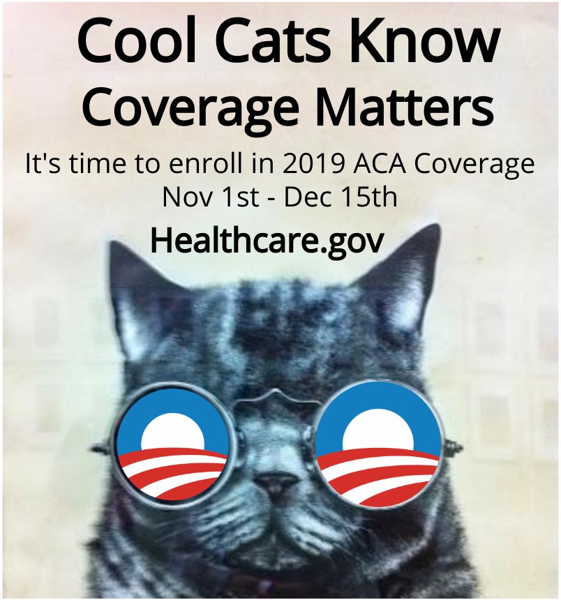 ACAConsumer's tweet photo. @gretchenwhitmer @charles_gaba Cool Cats like @gretchenwhitmer know that #CoverageMatters! Don't miss your chance to #GetCovered for 2019 (some are eligible for $0 premiums, but you won't know if you don't go to https://t.co/D0nErzKHJm). #EnrollByDec15 #BeACoolCat! https://t.co/mQSL5dWzWi