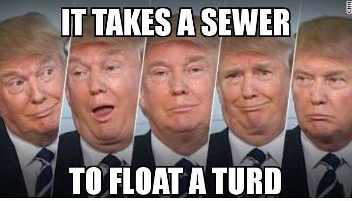 Stillwithher8's tweet photo. @realDonaldTrump Some of the intelligent &amp; decent Reps are switching parties bc of you Delusional Donny...Only the stupid corrupt R's are sticking with you..Party over country...but they are on a sinking ship with Dumb Donny. He's destroying the Rep. Party but we wont let them destroy America!! https://t.co/QPSobqiHCN