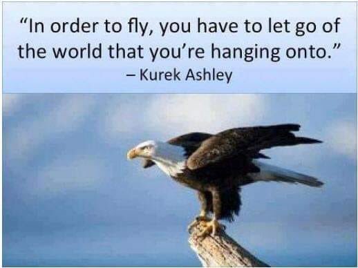 In order to fly you have to let go of the world that you’re hanging onto. #ascension #5Dworld #letitgo