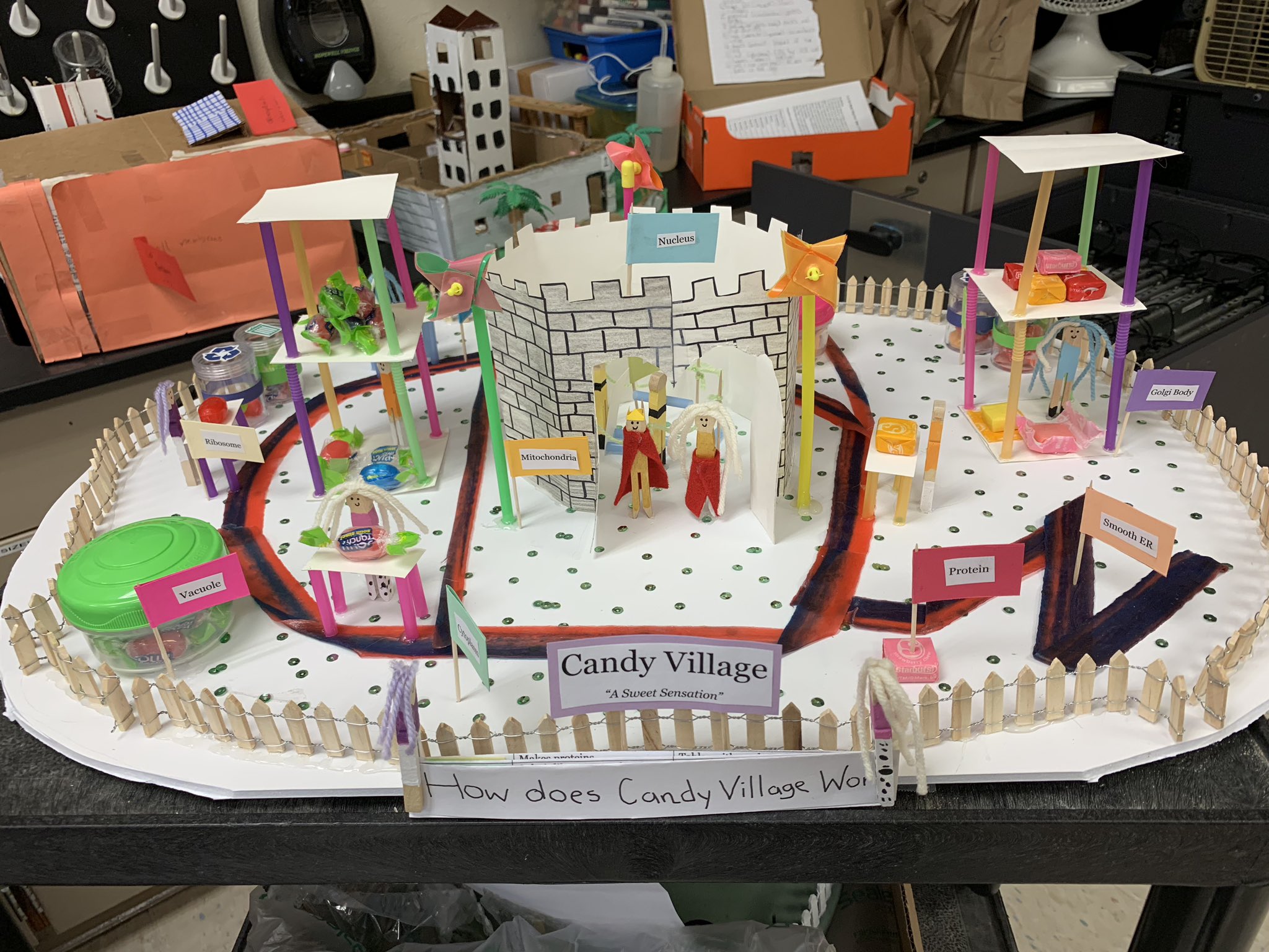 Cell City Project Examples