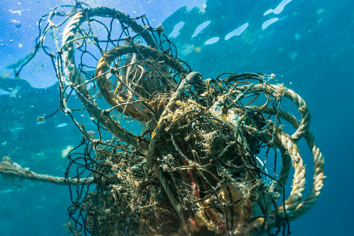 FishOceansCAN's tweet photo. Abandoned, lost and discarded fishing gear can have devastating impacts on marine life. We’re calling on Canadian innovators to help us remove “ghost fishing” gear and other marine debris from Canada’s #oceans and waterways. https://t.co/iVvl1x68DA https://t.co/wF1RE7ETGu