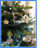 With just two weeks left until Christmas the pressure is on! Don't worry, it always all comes together on the day and what doesn't we either don't notice or don't care about! bit.ly/Pollards