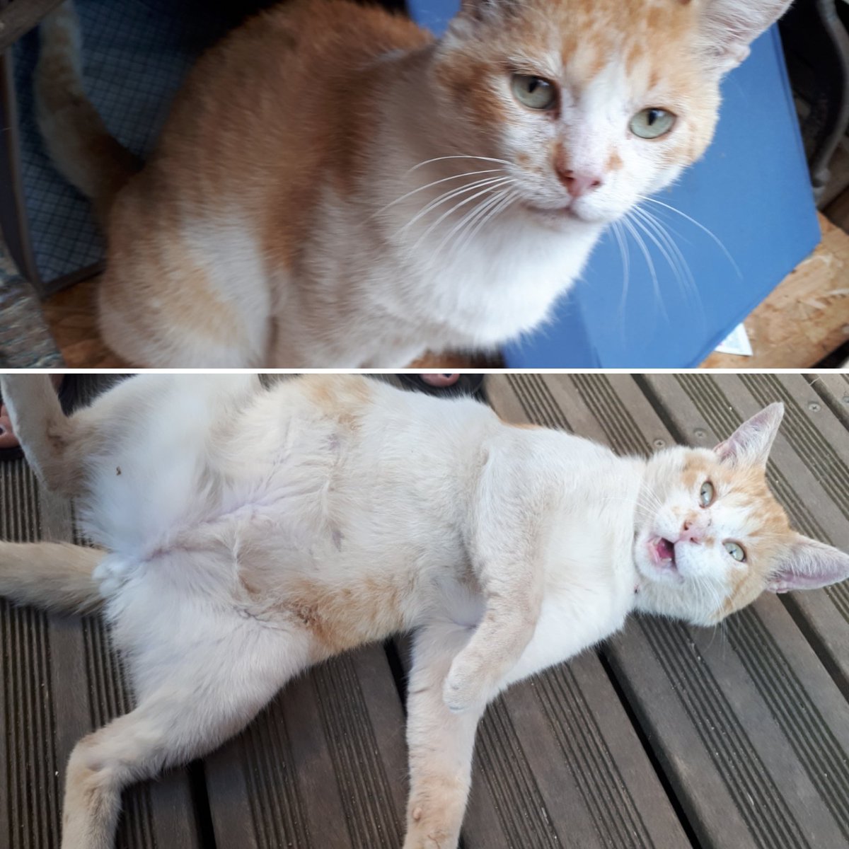 #Strasbourg courage !!!