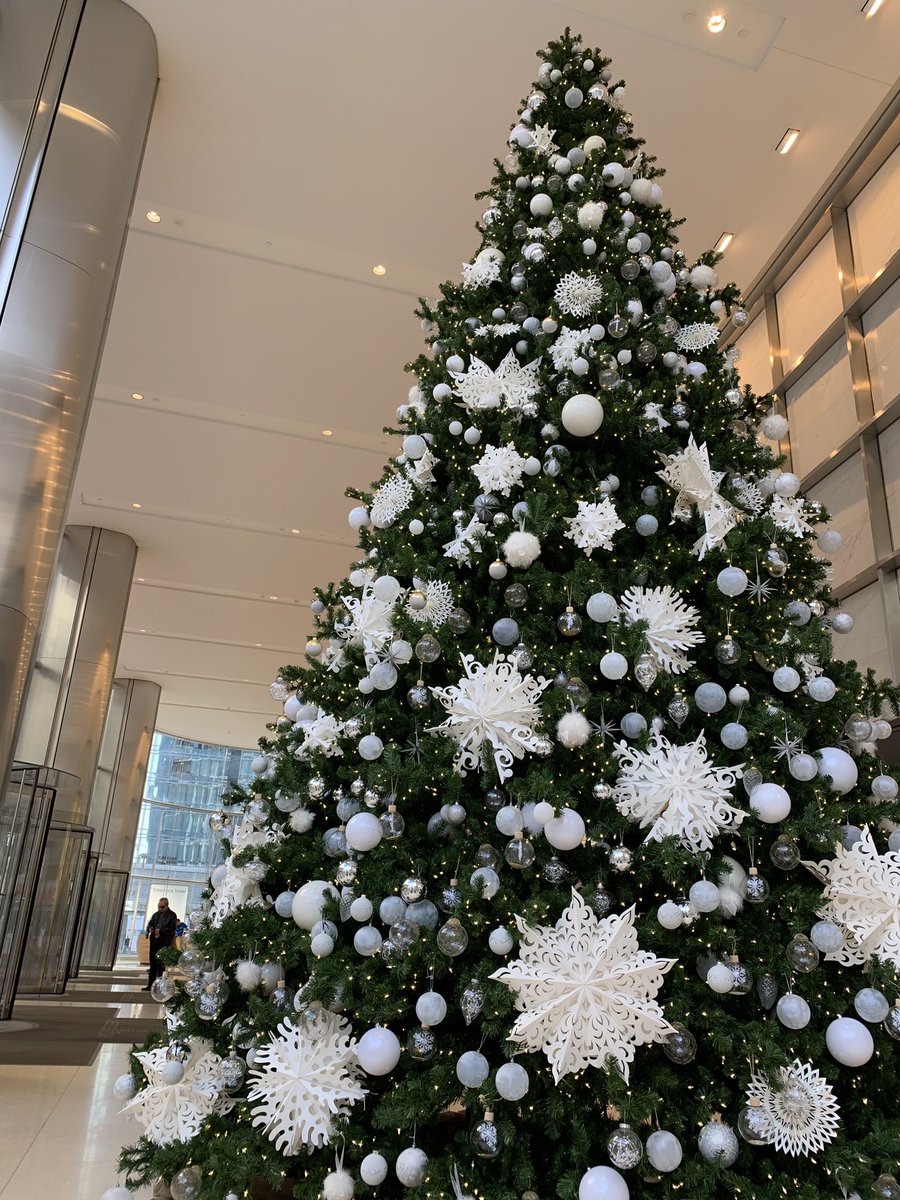 joelriddell's tweet image. Awaiting the ⭐️ #TransitCenterSF #SalesforceOrg