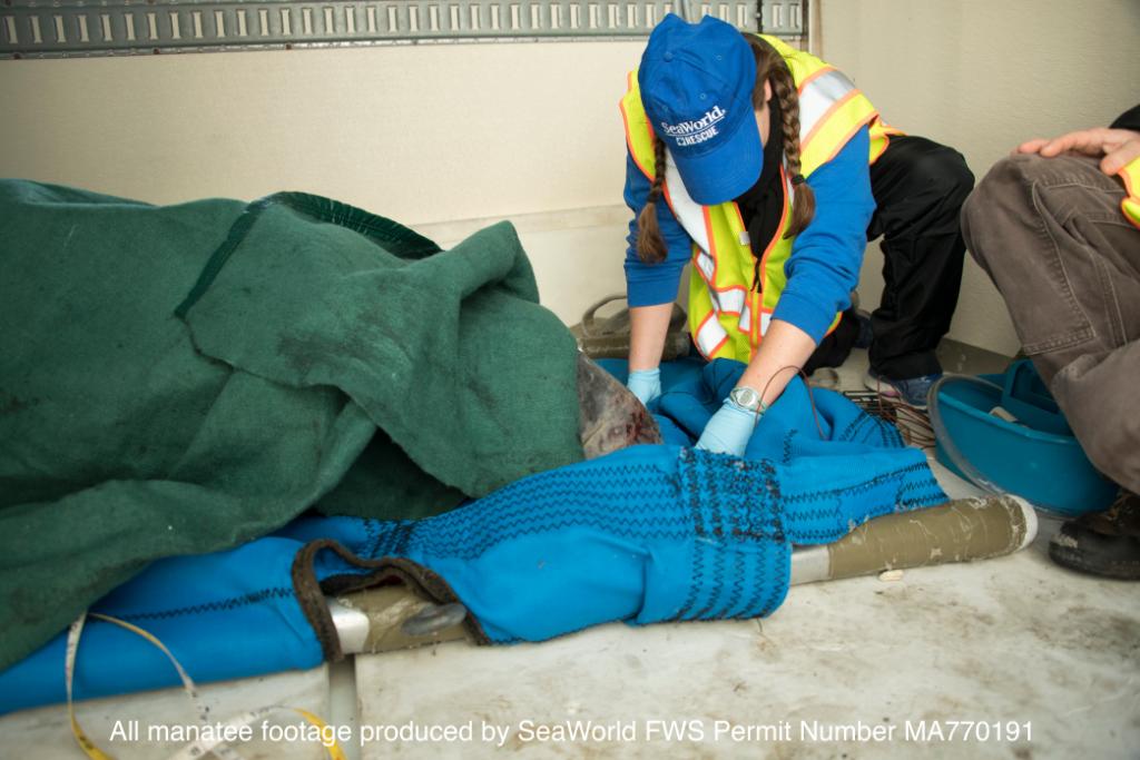 SeaWorld tweet media