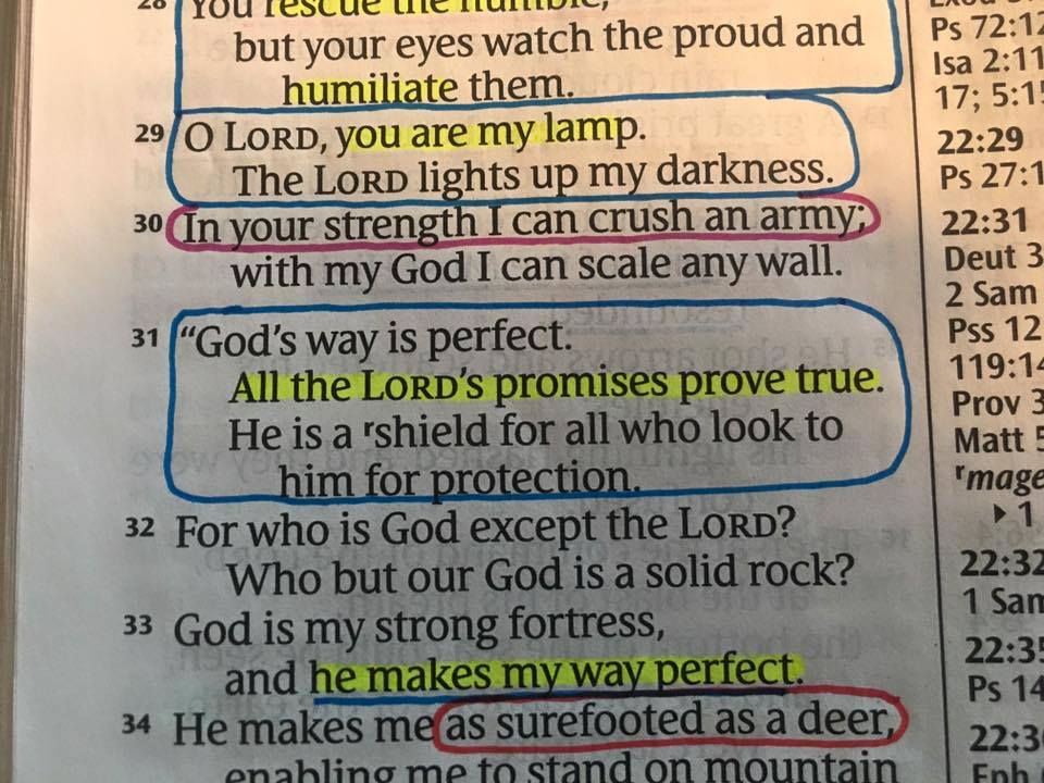 JohnBevere's tweet photo. It is so comforting to know that our Creator, our God, our King, and our Father will keep His word to us! I encourage you to spend time in His word so that you may know what He has promised you. https://t.co/kGwVHxTzpk