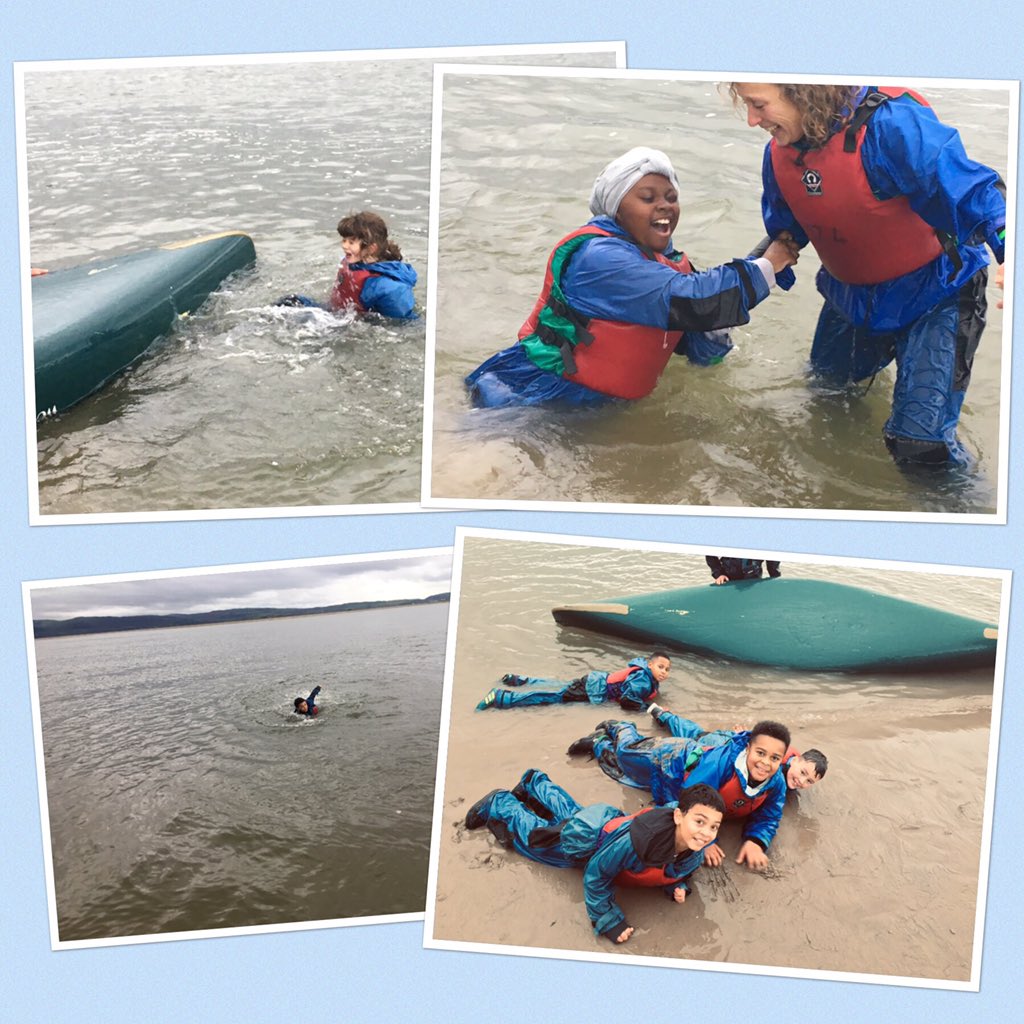 Pegasus Primary tweet media