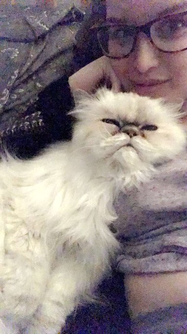 @SinWithCynXo This is my typical morning with her. https://t.co/RKAE3ALClq<a class="tags" target="_blank" title="On Twitter" href="/?out=eyJ0eXAiOiJKV1QiLCJhbGciOiJIUzUxMiJ9.eyJpYXQiOjE3MjQxOTM4NzYsImlzcyI6InR3cG9ybnN0YXJzLmNvbSIsIm5iZiI6MTcyNDE5Mzg3NiwiZXhwIjoxNzU1NzI5ODc2LCJyZWRpcmVjdF91cmwiOiJodHRwczovL3R3aXR0ZXIuY29tL1NpbldpdGhDeW5YbyJ9.tzFW7ikLPkEDbHhAoXA4YKiTlfD08tXm56I8dQiCXw3-GhJCrptiwlDLoZDrUh9YPBaPH2WI2Bp8L5VolwMiqQ">@SinWithCynXo</a><a href="/tag/onmfc"class="tags"><span>#onmfc</span></a>