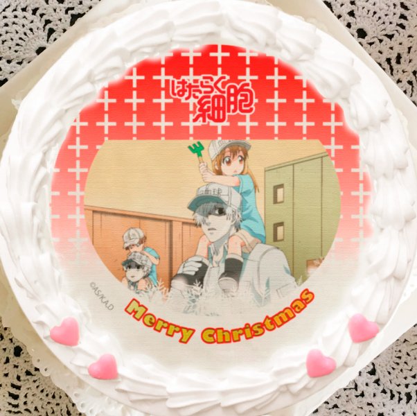 もうすぐ楽しいクリスマス🎅✨ プリロールHPにて『はたらく細胞