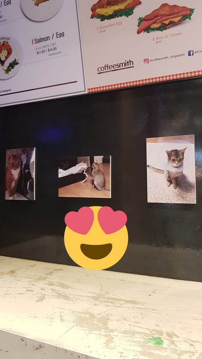 minhyunfox0809's tweet photo. #everlasting_luv_niel I did regret not taking better pics of the deco >< They were all nicely put up:)) Thank you so much💕💕 https://t.co/AZWIyRWA5j