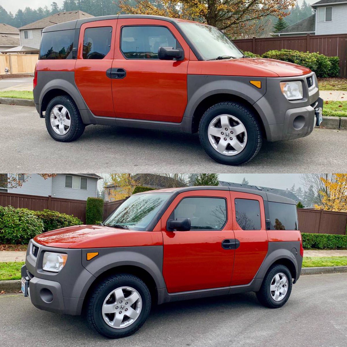 mike_d_diesel's tweet image. Elenor the Element. #toasterlove