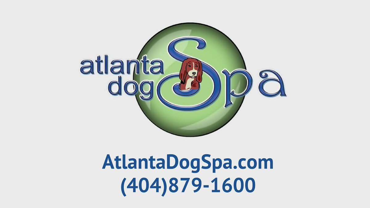 AtlantaDogSpa's tweet photo. Atlanta Dog Spa Boarding and Daycare,  focused on the experience for your dog. 
#YouTube Video https://t.co/aDsyGhC53M https://t.co/ZTjNSJxtW8