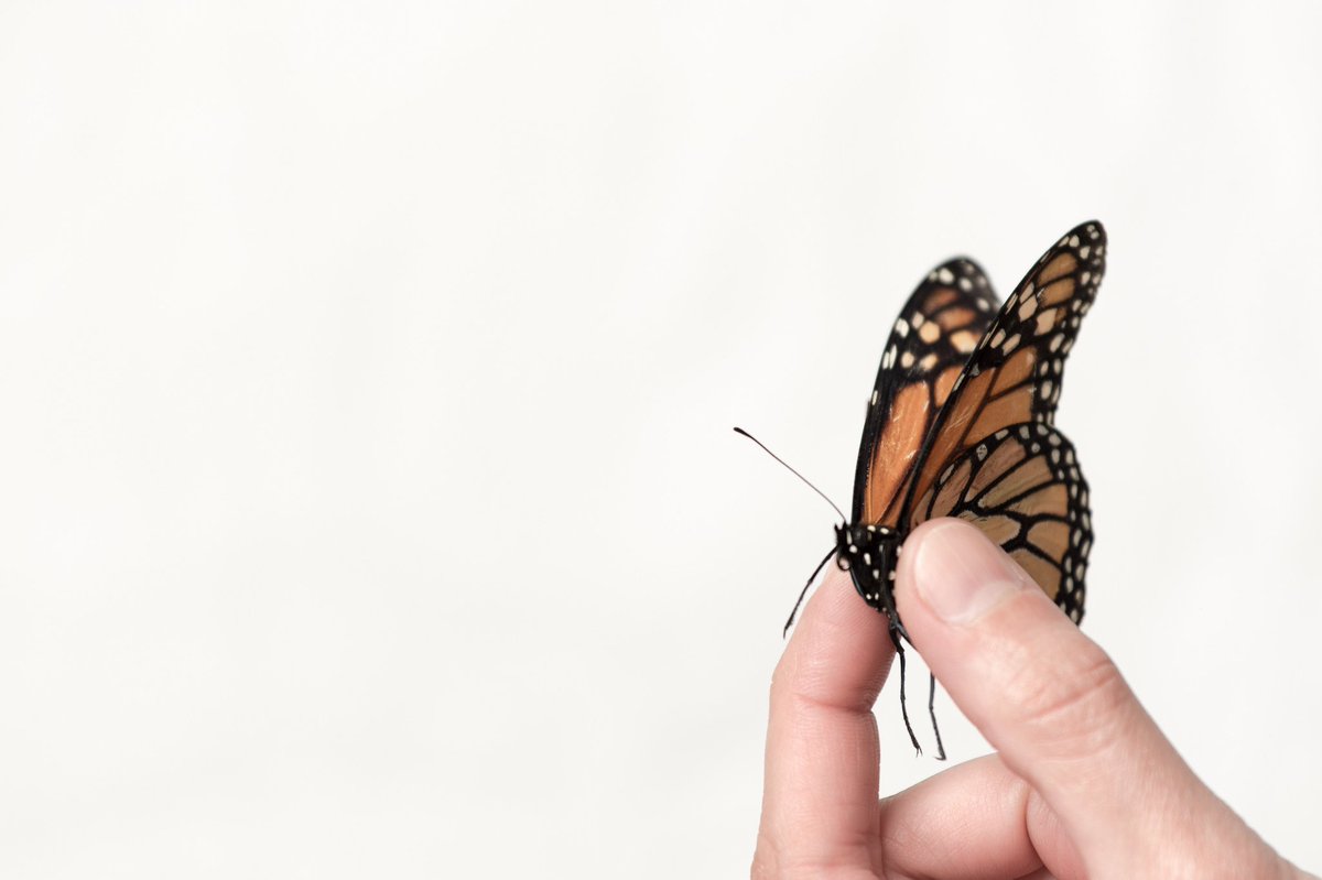 book Performance Management Revolution: Improving Results Through Visibility