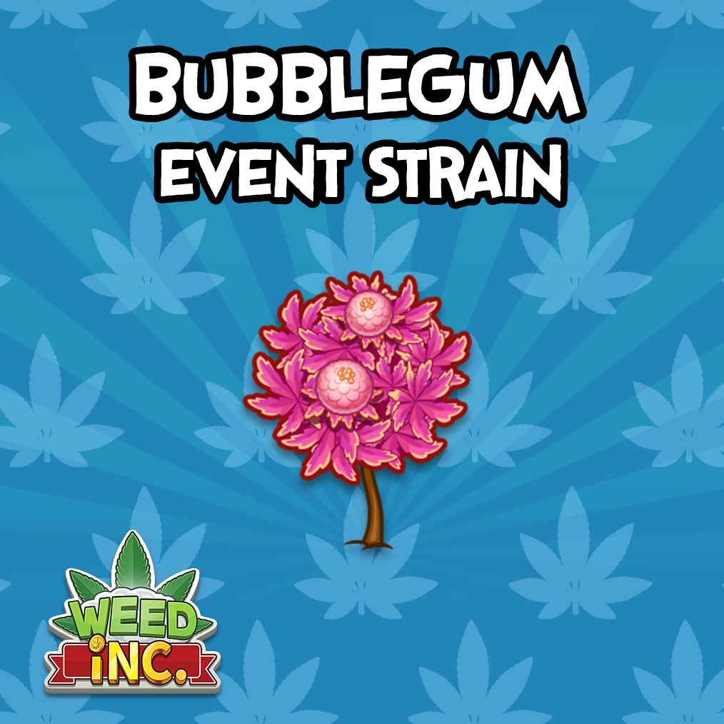 Weed_Inc_Game's tweet photo. Our Event this week features the Event Strain 'Bubblegum' 🍬 A great tasting strain that has 2x the production of regular strains!! Event is Thursday, see you there #Entrepreneurs https://t.co/Mi68CXdRFp