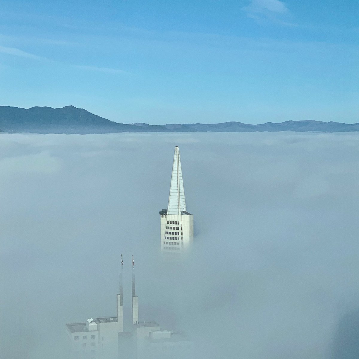 Caught this just before the fog cleared.