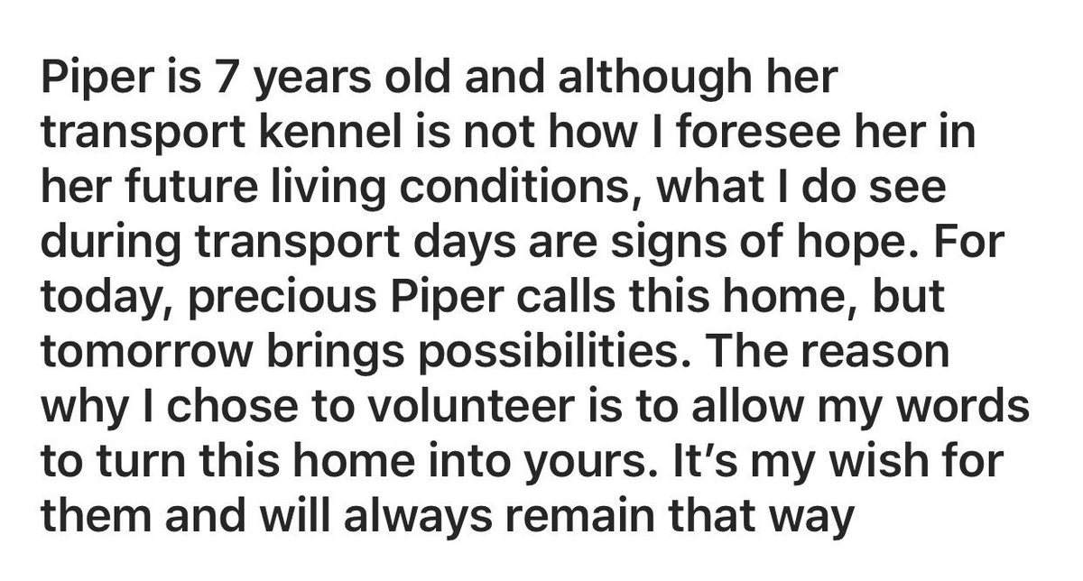 ToledoHumaneSociety tweet media