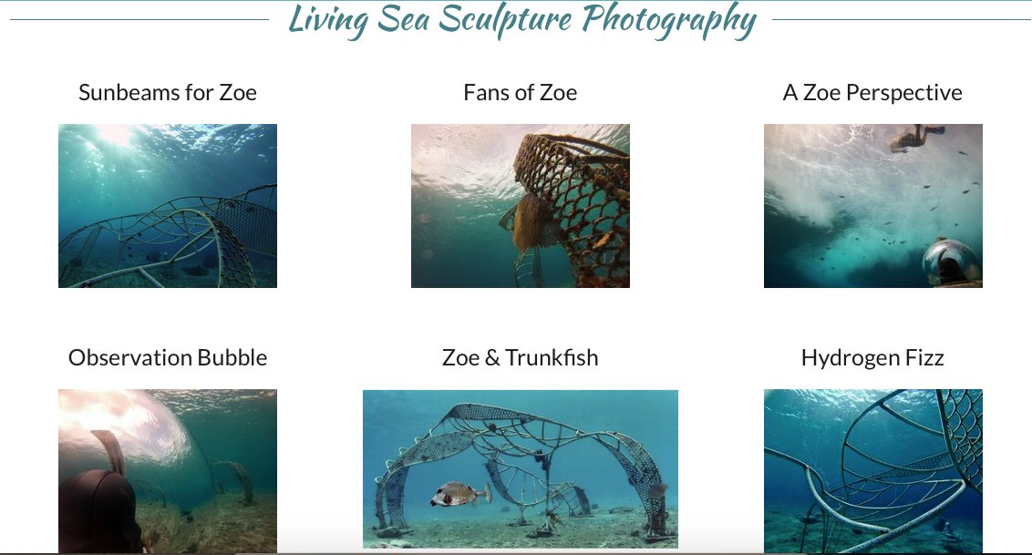 Looking for a unique gift that will help restore endangered coral reefs? Check out our online store! Photos capturing the beginning of Zoe - A Living Sea Sculpture, custom perfume, and more all 10% off until the end of the year. livingseasculptures.com/10%25-off-store