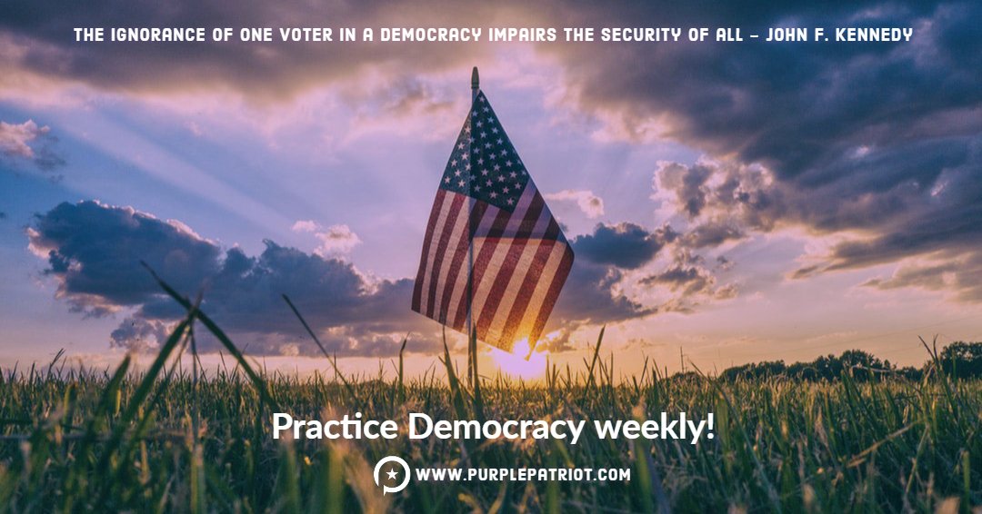 thepurplepatri1's tweet image. There is no better time than now to flex your political muscle.

#practicedemocracy #Democracy
#KnowledgeIsPower