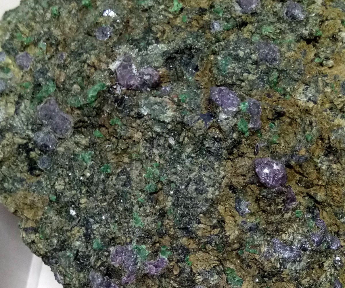 NHM_Petrology (@nhm_petrology) on Twitter photo Look at this beauty! Mantle xenolith from Kimberley dumps 2006, rich in stunning purple Cr-garnets 😍 <a href="/NHM_Petrology/">NHM_Petrology</a> <a href="/NHM_London/">Natural History Museum</a> <a href="/NHM_Science/">Science at the Natural History Museum</a> <a href="/Macquarie_Uni/">Macquarie University</a> <a href="/Epi_Vaccaro/">Epifanio Vaccaro</a> Look at this beauty! Mantle xenolith from Kimberley dumps 2006, rich in stunning purple Cr-garnets 😍 <a href="/NHM_Petrology/">NHM_Petrology</a> <a href="/NHM_London/">Natural History Museum</a> <a href="/NHM_Science/">Science at the Natural History Museum</a> <a href="/Macquarie_Uni/">Macquarie University</a> <a href="/Epi_Vaccaro/">Epifanio Vaccaro</a>