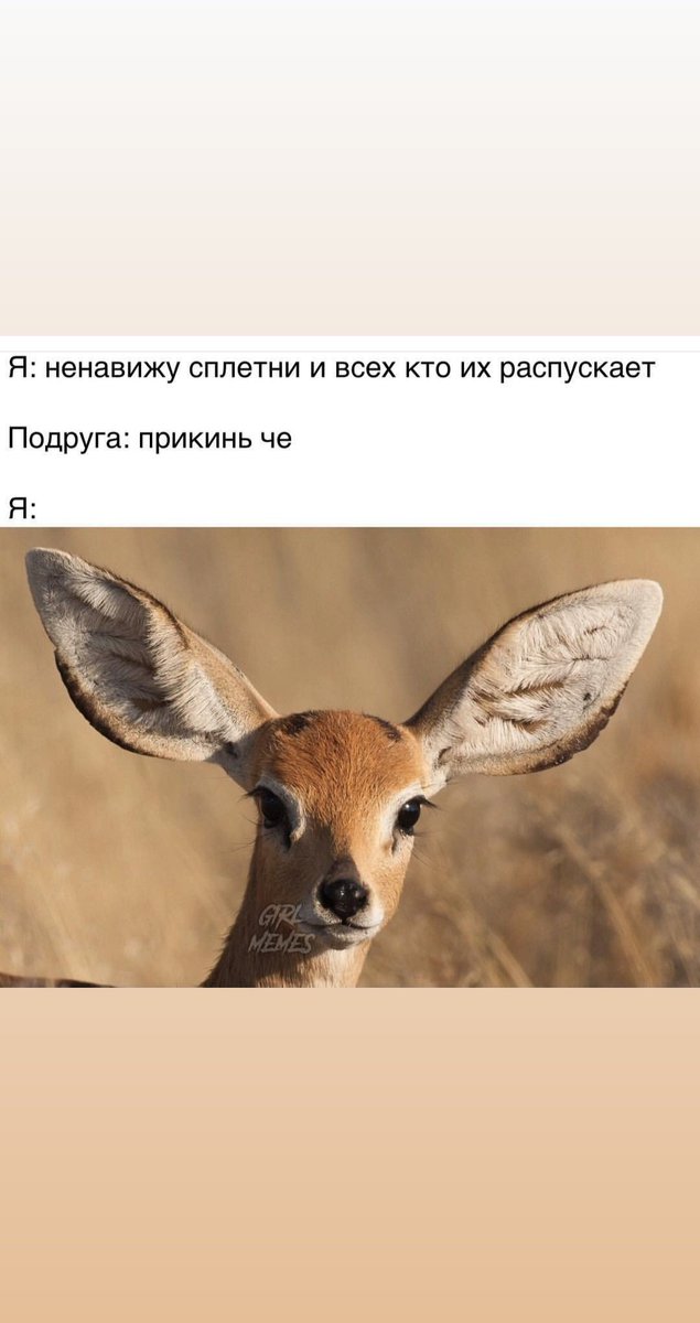 _lepria's tweet photo. Блин... https://t.co/Yn4phTkNCx