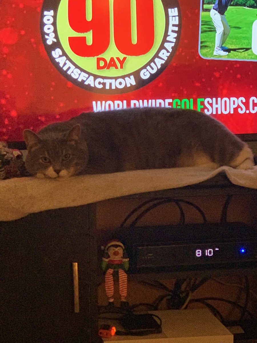 The look of satisfaction after throwing up half a Christmas Tree.