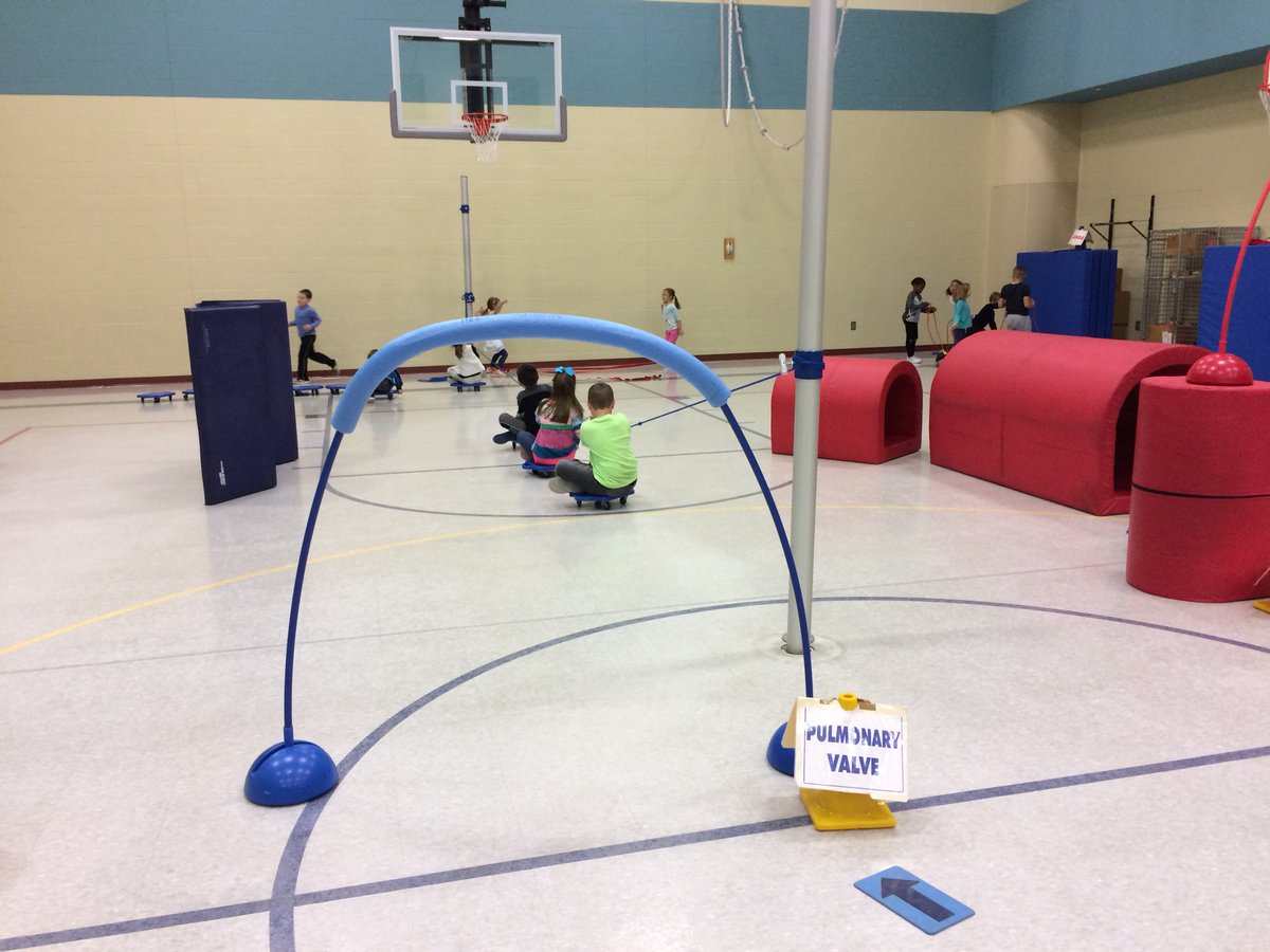 karenr6191's tweet photo. Such a fun way to learn about how the blood flows through the heart! #Heartadventure #SVpower @FUTP60 @MidwestDairy https://t.co/gPlawyQG7R