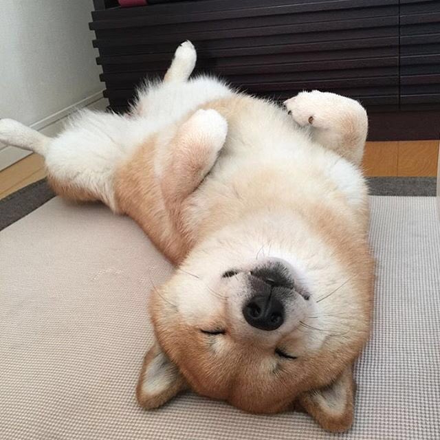 Saki RN