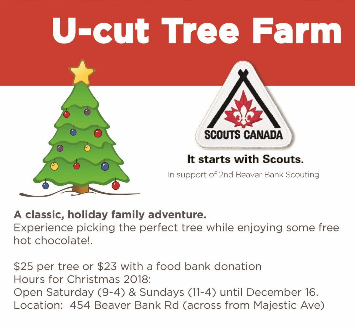 2ndBBScouting's tweet photo. Get your Christmas tree tis weekend https://t.co/dy60ZqTj6A