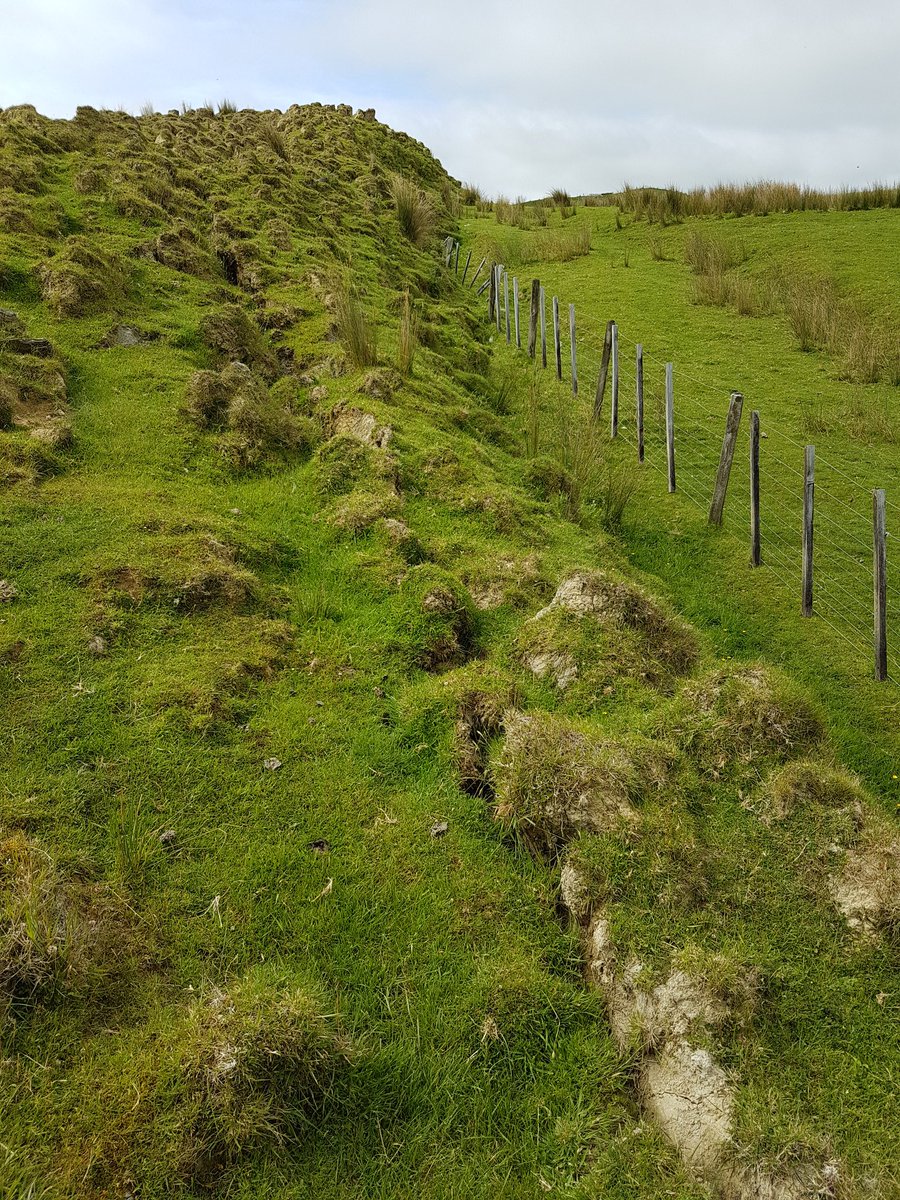 AndrewNeverman's tweet image. Found some impressive evidence of earthflow movement in the field with @s_t_mccoll yesterday. Note the earthflow material to the left, stable ground to the right, and buried fence in the centre! 

#earthflow #geomorphology #landslide