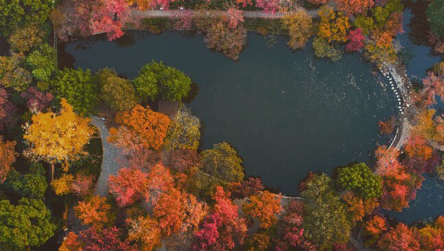 Smartcloud6's tweet image. Photo of the day @金哥
Goodbye autumn and hello to winter. 💕💕
#photooftheday #drone #dji #djiphantom4 #suzhou #dronephotography #autumn #colorful #landscape