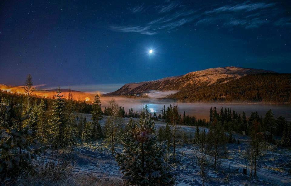 Adelphia_Tours's tweet photo. E' tempo di #inverno e anche tempo dei meravigliosi giochi di luce delle #aurore sui cieli delle contee dell'#Irlanda del Nord!
https://t.co/3S1Kv64dKs

#Dublino #auroreboreali #viaggi @Irlandando @TurismoIrlanda @GoToIrelandGB @IrlandaItaliana https://t.co/XTkMzu8JRQ