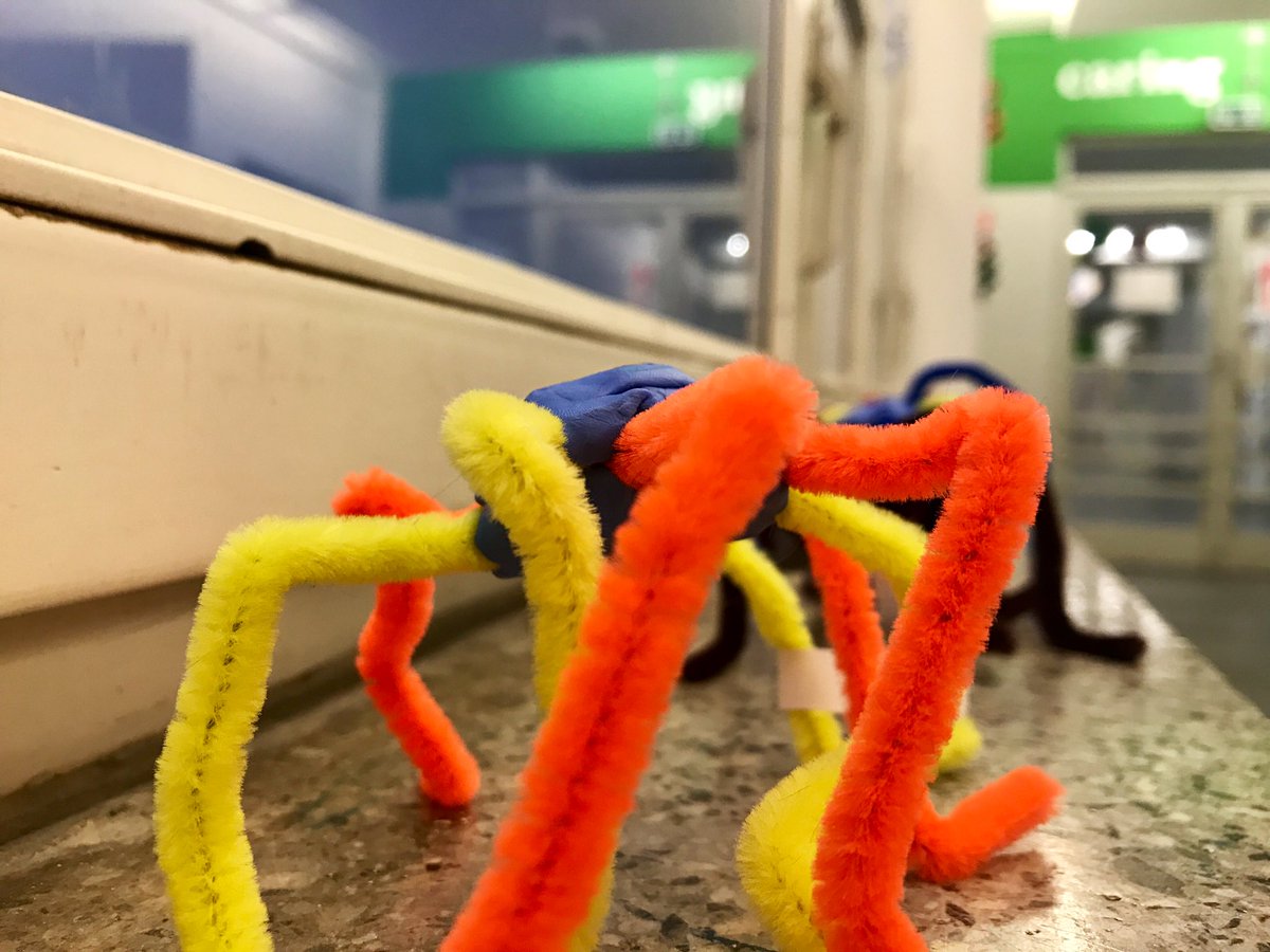 JenOFee's tweet photo. Some unusual sightings created by our #grade2 @BMSPrimary students appearing around the school today for our #BMSCreativeArts show https://t.co/oPlN0kRDuJ https://t.co/FvdaCBNFU3