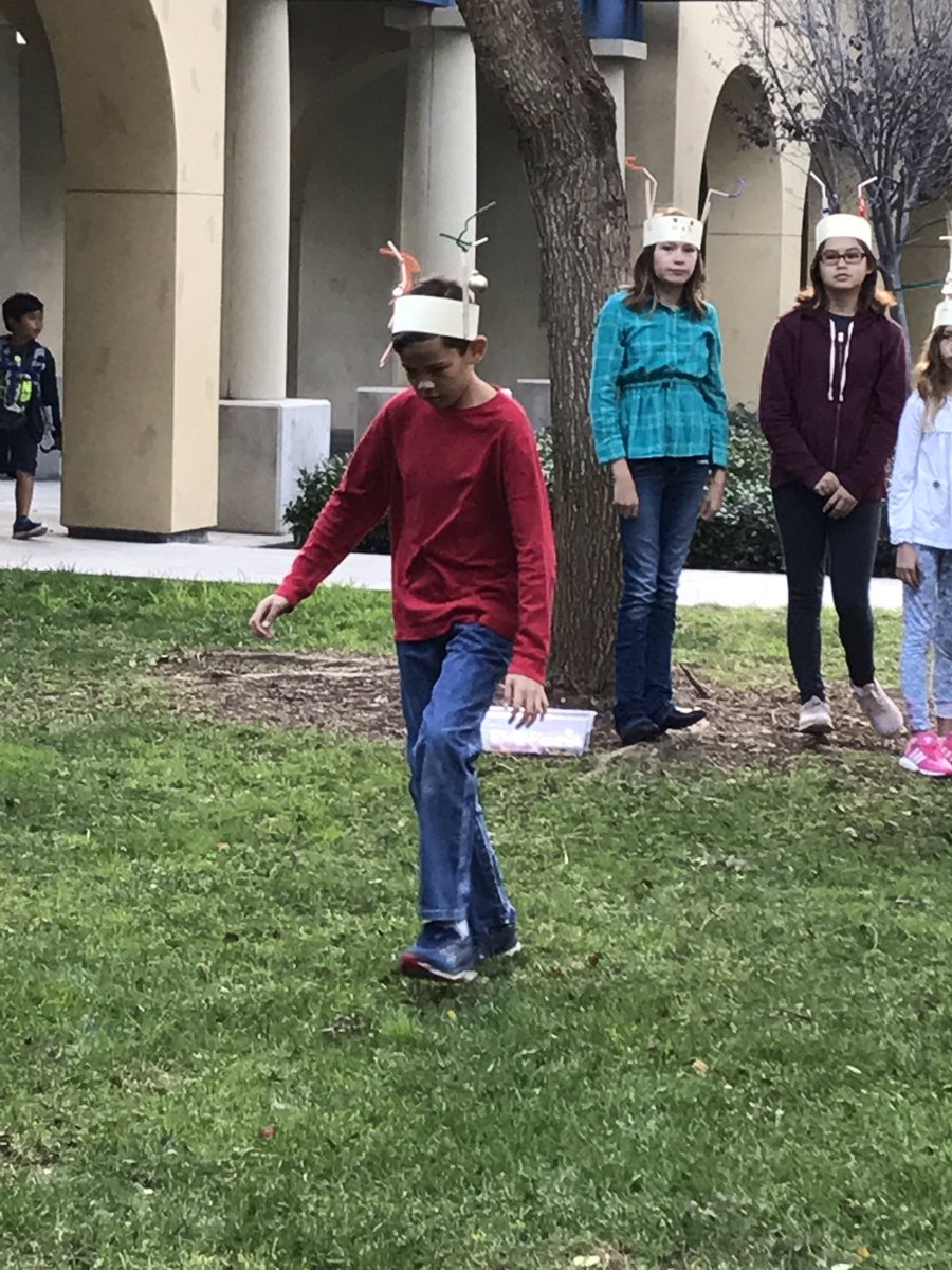 teachnwolves's tweet image. Final day of GATE science this morning. Ss engineered reindeer antlers to participate in an ornament relay race. So much fun! #timberwolfproud @Thrown2ThWolves @CVESD_Wolfcanyo @matshy